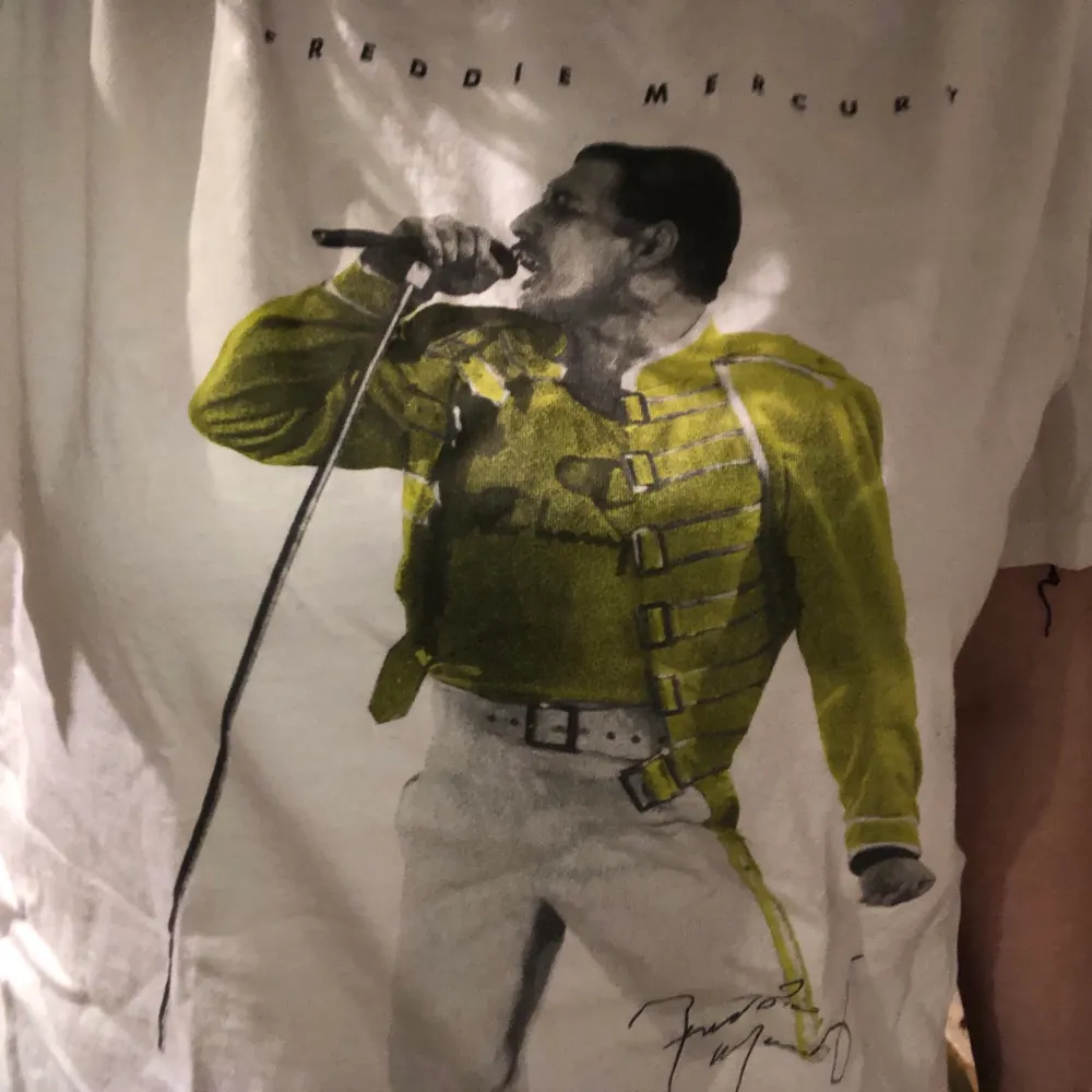 En Freddy Mercery T-shirt från h&m! Endast använd ett fåtal gånger! Möts ej upp pga Corona🖤. T-shirts.