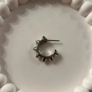 Edblad örhänge - Jag säljer ett edblad örhänge som är slirigt och har taggar.