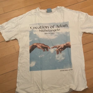 Vit t-shirt med tryck - Vit t-shirt från Pull&Bear med ett tryck av Michelangelos 'Creation of Adam'. Säljer den då den har blivit för liten för mig. va inte rädd för att ställa frågor 🌟🌟🌟