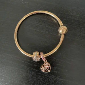 Pandora armband  - Elegant guldarmband med 2 berlocker. Armbandet är stelt med rund form och har en säker låsmekanism.