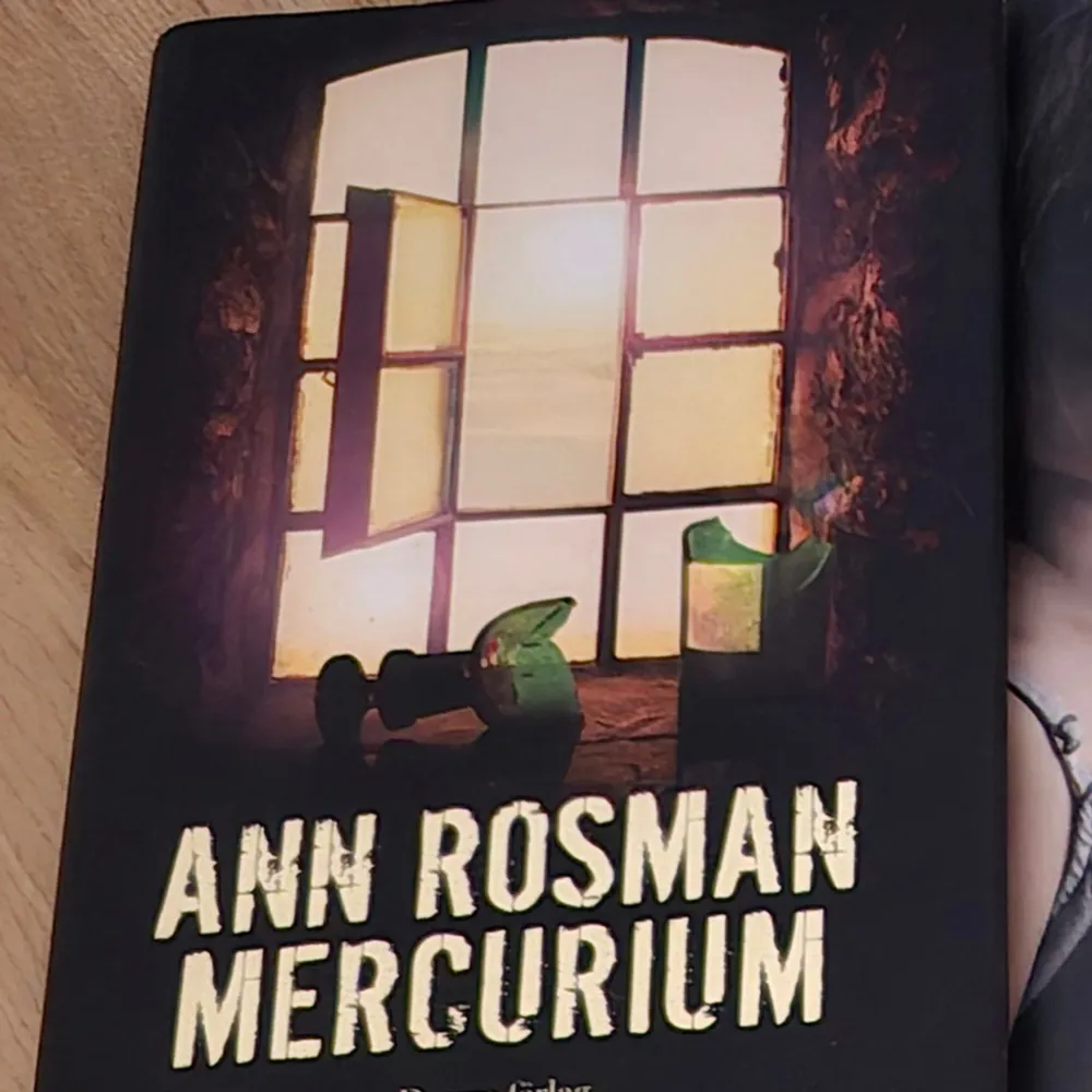 Boken 'Mercurium' av Ann Rosman har ett omslag med en dramatisk bild av ett fönster med ljus som strömmar in. Titeln är tryckt i stora, vita bokstäver längst ner på omslaget.. Böcker.