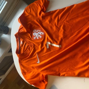 Nederländerna tröja från 2018 memphis depay  - Perfekt skick storlek large 