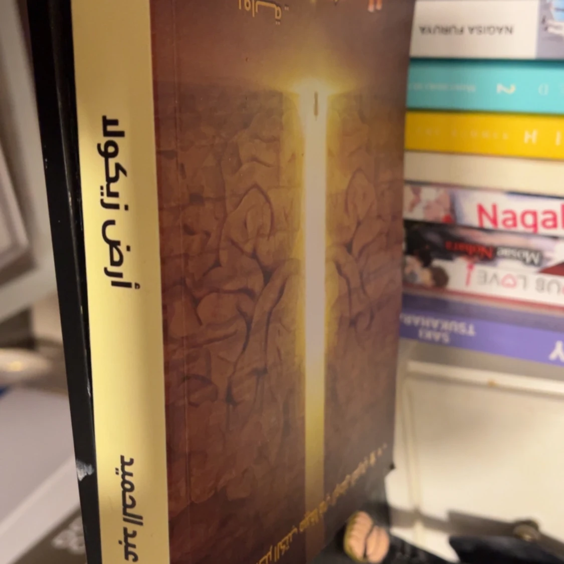 أرض زيكولا - 91