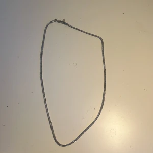 Stålhalsband  - Kedjehalsband från lyxery, något tjockare, 55 cm långt, nypris 400(på rea). Ingår en ett hängsmycke(en kompass). Fick i present men hade redan ett annat halsband. Har även original boxen. 
