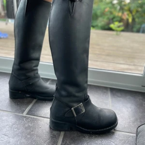 Välskötta Johnny Bulls - Fint skick sparsamt använda  kan gå ner i pris vid snabb affär 