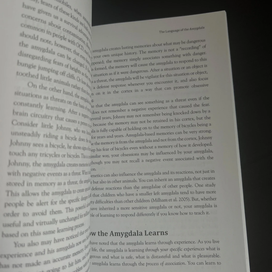 Rewire Your OCD Brain - 93