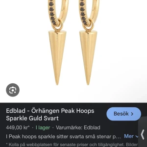 Edblad örhängen  - Örhängen från Edblad med nitar och svarta stenar, aldrig använda!