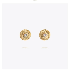 Caroline Svedbom örhängen  - Såå söta örhängen från Caroline Svedbom. Aldrig använda med plomberings lappen kvar🩷🩷 Säljer tillhörande armband i en annan annons😍