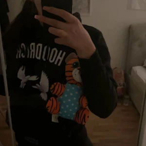 hoodrich törja - Säljer en svart hoodie med tryck av fåglar och en tecknad tiger. Texten 'HOODRICH' syns på framsidan. Perfekt för en avslappnad stil. den passar storlek S/M då jag vanligtvis har M i törjor. denna törjan säljs inte länge. inga skador och använt en gång