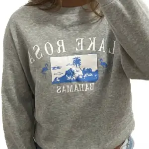 Säljer en grå sweatshirt i ett tunnare material med ett coolt tryck av 'LAKE ROSA BAHAMAS' i vitt och blått. 💙