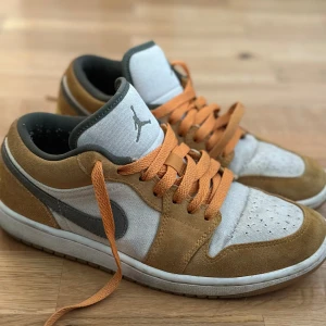 Jordan 1  - 40 storlek