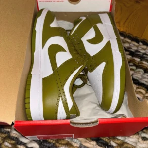 Nike dunk low  - Säljer ett par helt nya och oanvända Nike dunk low i storlek Eu 42.5