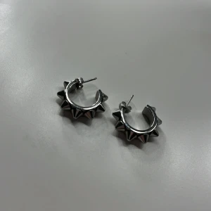 Öronhängen - Säljer oanvända nitöronhängen från Edblad💖