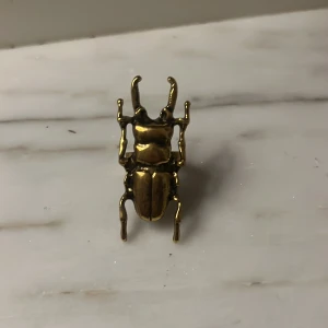 Skalbagge-ring - Köpte denna 2022, har ingen aning vart jag köpte den, därför är den så billig. Aldrig använt den, tyckte inte att den passade bra på mitt finger. Det är one size som man kan justera själv.