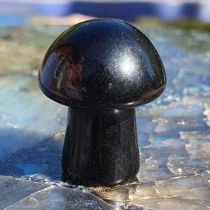 Obsidian - Slipad svamp  - En liten svamp av obsidian, varje sten är unik och det är stenen du ser på bild som annonsen gäller. Mått på dessa är ca 2cm. ✨️Titta igenom alla mina upplagda o köp fler saker i bundle för att spara på frakten och få allt du köpt i ett o samma paket.