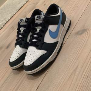 Storlek 42,5 Nike dunk low, riktigt bra skick