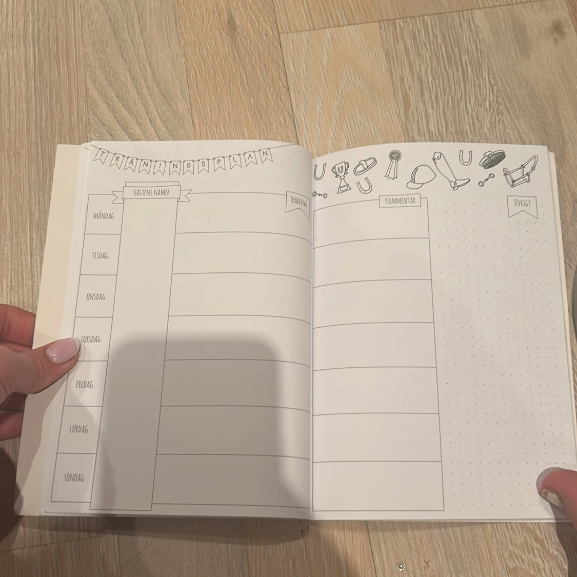 Mina Käpphästar - 91