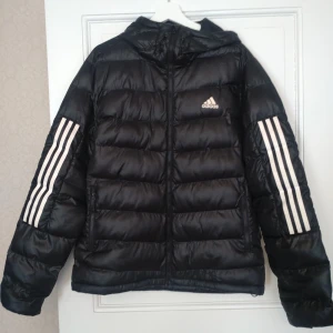 Helt ny äkta Adidas jacka - Aldrig använd! Storlek Medium Passar både tjejer och killar Nypris 1500kr  Kommer från fräscht djur och rökfritt hem