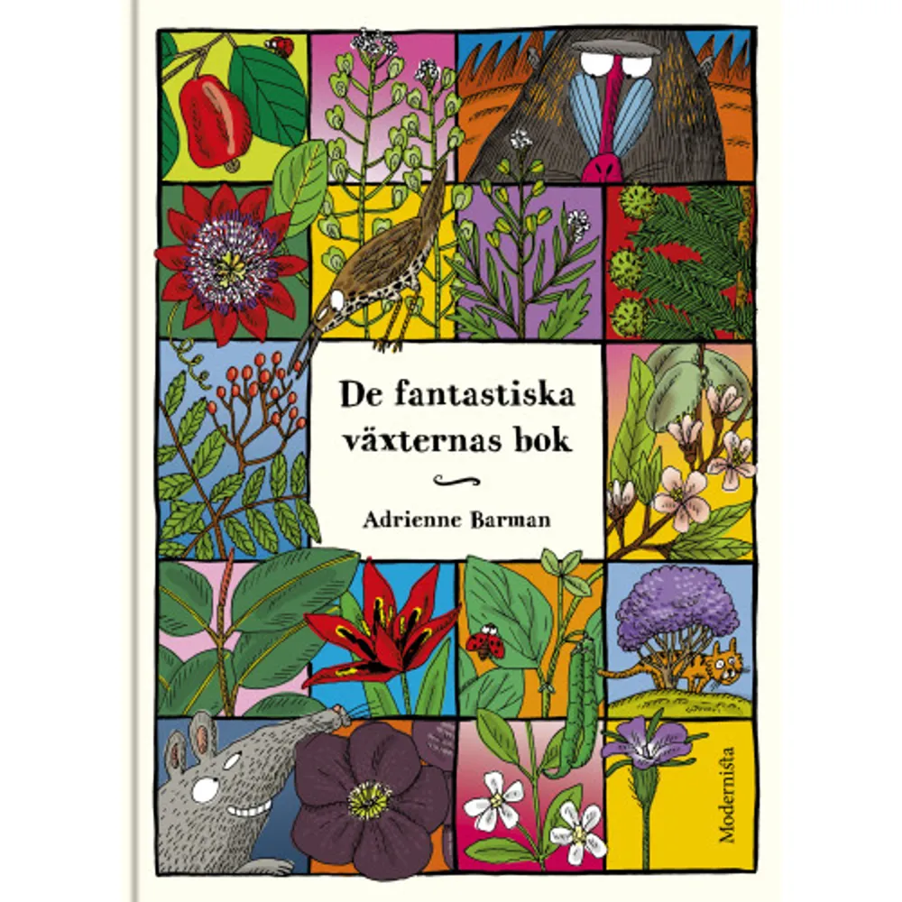 Den schweiziska illustratören Adrienne Barman har slagit igenom stort med sina fantasieggande »alfabetsböcker« om naturen och - framför allt - dess osannolika invånare! I De fantastiska växternas bok samsas hundratals frukter, blommor och växter - alla utvalda på grund av sina unika egenskaper och fantasifulla utseenden. En hänförande fortsättning på De fantastiska djurens bok som både släcker kunskapstörst och färglägger sinnena.I svensk översättning av Helena Stedman.ADRIENNE BARMAN [f.1979] är en hyllad schweizisk illustratör av barnböcker.    Format Inbunden   Omfång 191 sidor   Språk Svenska   Förlag Modernista   Utgivningsdatum 2019-07-15   Medverkande Adrienne Barman   Medverkande Adrienne Barman   Medverkande Helena Stedman   ISBN 9789177819561  . Böcker.