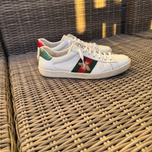 Gucci ace skor - Säljer nu ett par riktigt feta gucci skor i storlek 43! Skicket är 7/10. Säljer dem nu för att dem inte passade mig. Priset är ej hugget i sten och deg är bara att höra av er om ni vill se mer bilder