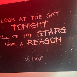 Look at the Sky Tonight -  citat från en lil peep sång, säljer den då jag har två och vet ej vart jag ska ha den andra vill nog sälja den för 70kr men de kan diskuteras 