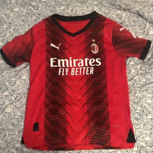 AC Milan hemmatröja R. Leão 10 Puma - Säljer en AC Milan hemmatröja med R. Leão och nummer 10 på ryggen. Tröjan är röd med svarta ränder, har korta ärmar och svarta detaljer. Puma-logga på bröst och ärm, samt Champions League-märke. Materialet är lätt och andas.