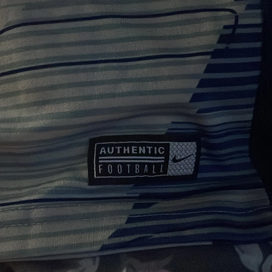 Tottenham Hotspur fotbollströja träningströja  - 1