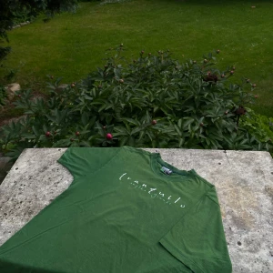 Vintage T-shirt BRAZILIEN - Snygg grön t-shirt från Ilha Grande med trycket 'tranquilo' på bröstet och en cool grafisk print på ryggen. Klassisk rund hals och korta ärmar. Perfekt för dig som gillar chill vibes och enkel stil. Om du undrar något är det bara att höra av sig, svara så snabbt jag kan😁🙌