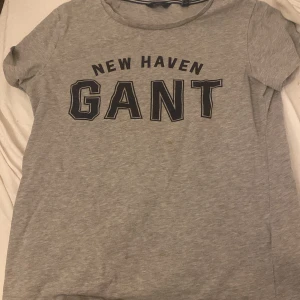 Grå GANT t-shirt med tryck - Snygg grå t-shirt från GANT 