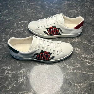 Gucci ace snake - Säljer ett par otroligt snygga skor från det exklusiva italienska märket Gucci! Skorna är i otroligt bra skick, skulle säga ungefär 9,6/10. Nypris ligger på över 9000kronor men vi säljer våra för endast 2699 och kan gå ner i pris ännu mer vid snabb affär! Skriv gärna ifall det är några funderingar, allt bästa SkoKapet
