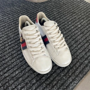 Gucci Ace - Storlek 40 passar 42 | Solkart äkta | Saknar innersula(utbytt mot en annan och funkar exakt lika bra | Pris ej hugget i sten