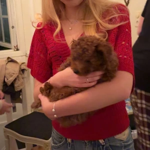 Röd stickad v-ringad tröja - Snygg röd stickad tröja med v-ringning och fina breda ärmar. Tröjan har ett unikt hålmönster och en tajt ribbad midja som ger en schysst passform. Perfekt att styla med jeans för en cool look. Perfekt för jul och kräftskiva😁