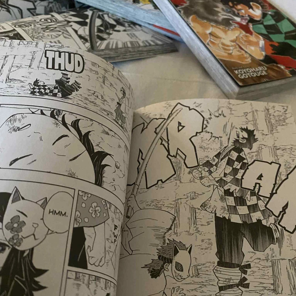 Demon Slayer: Kimetsu no Yaiba Vol. 1-5 - 3