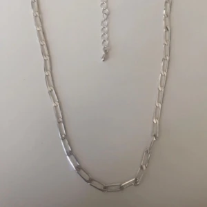Halsband - Säljer ett silvrigt kedjehalsband från H&M. Oanvänd. Ej äkta silver.