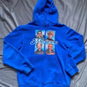 SÖKER HOV1 hoodie - SÖKER!! Söker en hov1 hoodie om någon vill sälja! Kan betala lite extra🙏🙏.