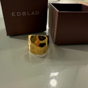 Guldfärgad ring från Edblad - Helt oanvänd ring från edbald i storleken 17,5mm. Orginal pris 499kr på åhlens (kunde inte hitta den på edblads egna hemsida). Jag fick den i födelsedagspresent förra året och den var för liten, men jag hann inte byta innan det var försent. Priset kan diskuteras💞Meddela för fler bilder😚