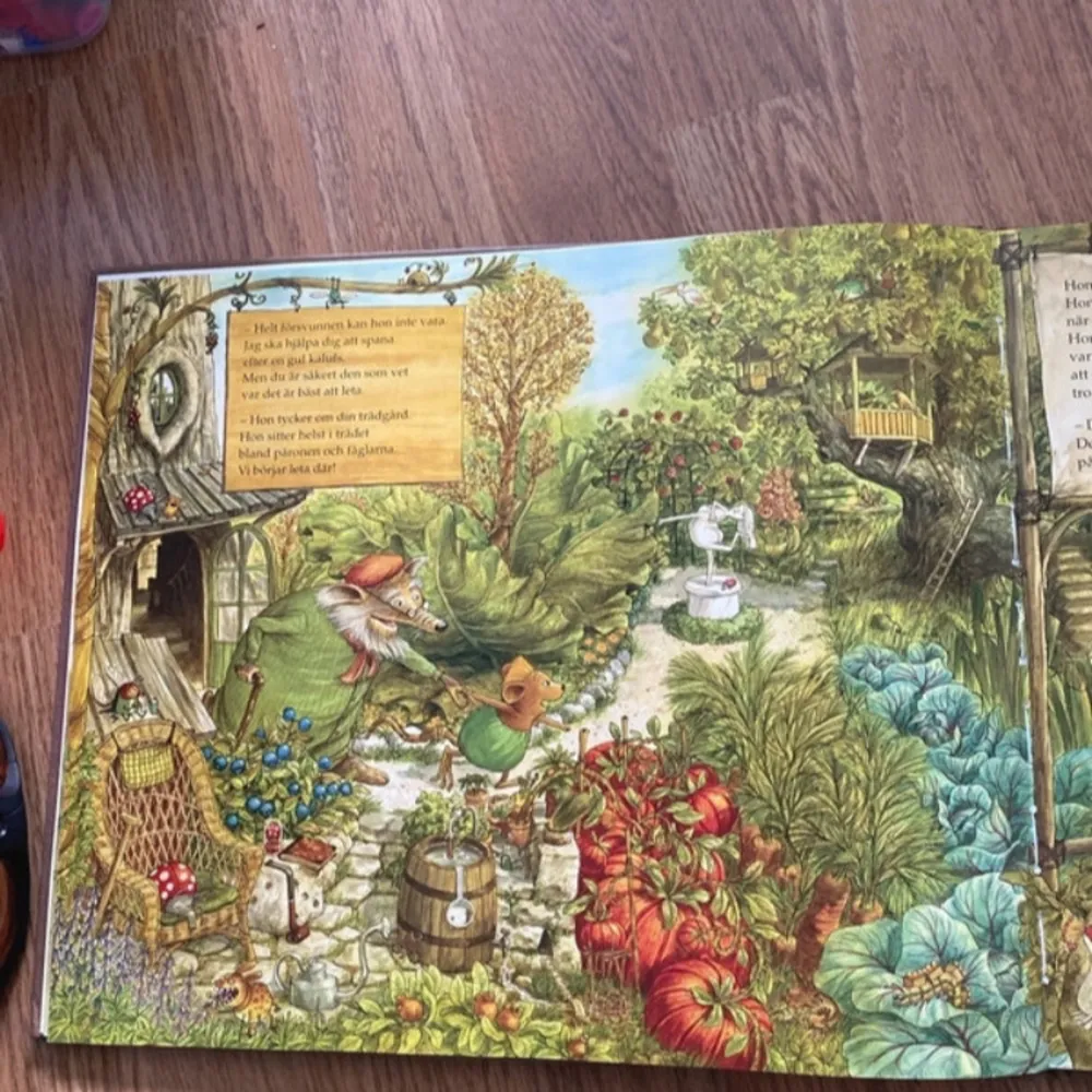 En vackert illustrerad barnbok av Sven Nordqvist där en lillebror letar efter sin försvunna syster. Boken tar läsaren med på en fantasifull resa genom olika landskap och miljöer, fyllda med detaljer och magi. Perfekt för barn som älskar äventyr och upptäckter.. Böcker.