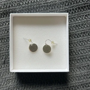 Silverfärgade runda örhängen - Stilrena örhängen i silverfärg med rund, slät platta som hänger från krok.