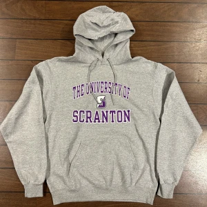 Champion University of Scranton Hoodie - Snygg vintage Hoodie i storlek M! Bara att skriva om du undrar över något🙏