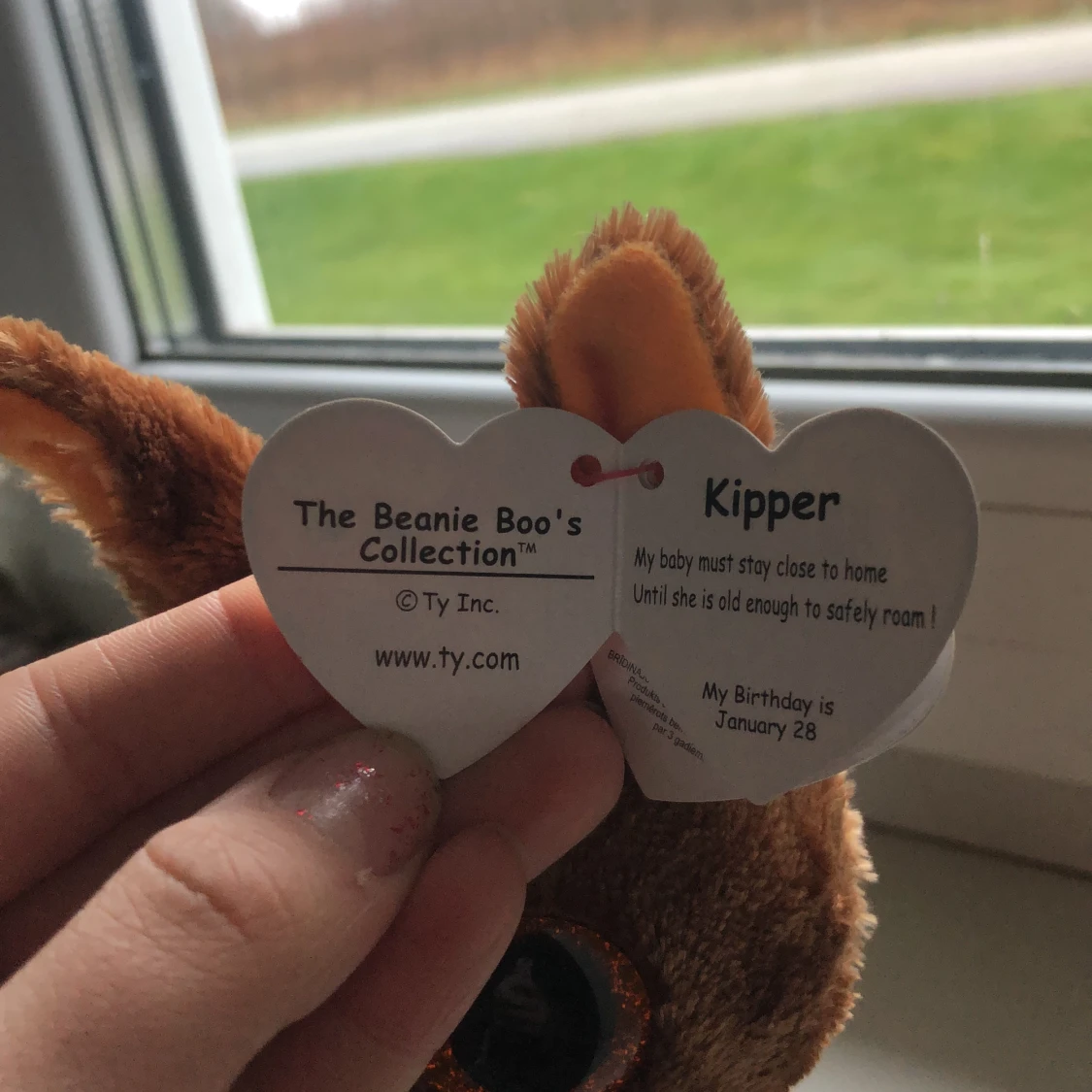 Beanie Boos (Kipper) - 90