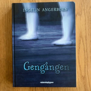 Gengången bok - Gengången av Ingelin Angeborn, författaren till Rum 213
