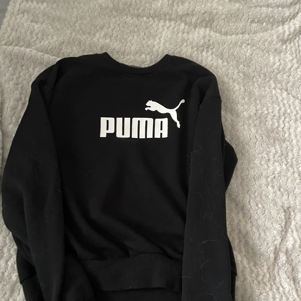 Puma sweatshirt i super bra skick, har hundhår men de går bort i tvätten, storlek 10 UK . Hoodies.