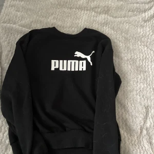 Puma  - Puma sweatshirt i super bra skick, har hundhår men de går bort i tvätten, storlek 10 UK 