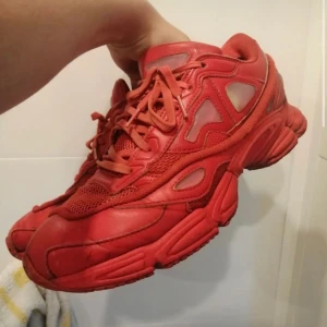Raf simons ozweego 2015 - Helt ok skick för åldern, fet colorway. Tyvär ingen box därav priset 