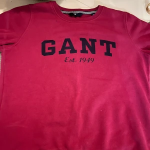 Gant tröja xs  - Fin Gant tröja i xs 