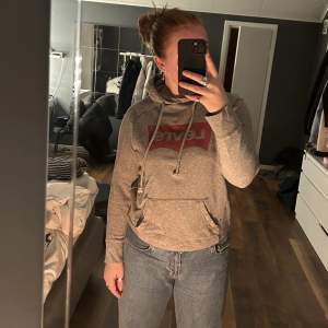 Grå levis hoodie med ett litet hål (inget man tänker om man inte kollar nära). Storlek Xs.