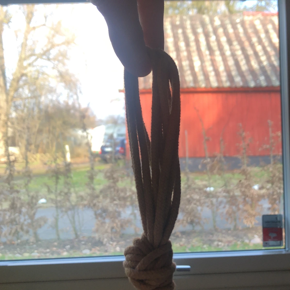 Växt hängare🪴🌱 - 91