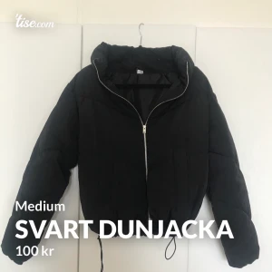 Dunjacka - Svart dunjacka ifrån hm😊