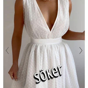 söker denna klänning från showpo för ett bra pris - Jag söker denna klänningen som är från showpo. Helst 36/38 i storlek och i bra skick för bra pris 