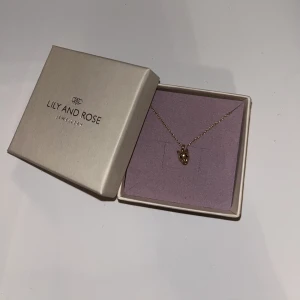 Halsband  - Ett gulligt halsband från Lily and Rose, från kollektionen Miss Queen Sheba⚡️Superfint men säljer detta då det ej kommer till användning!